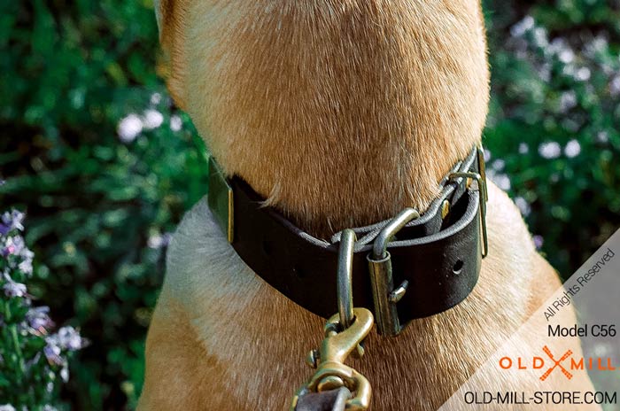 1 1/2 inch wide Leather Collar with D-ring for Leash attachment